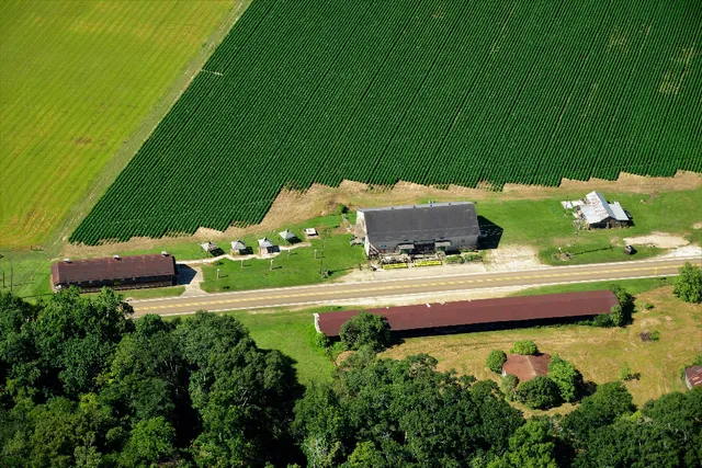 NUNU Arts & Culture Collective