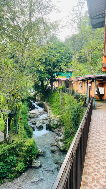 Hostel Abodes Trees Of Heaven
