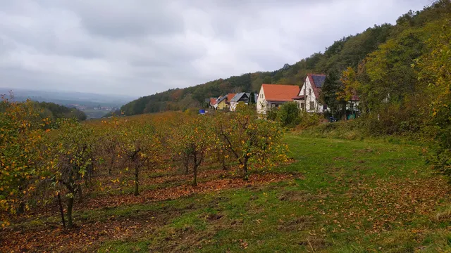 Ferienwohnung Athena