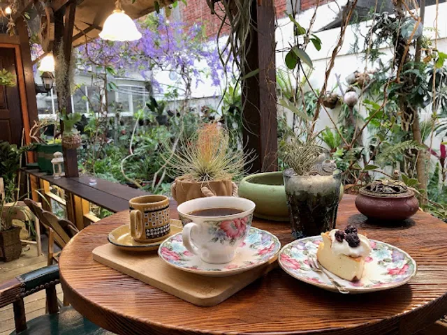 艸緣⟢女巫焙煎所