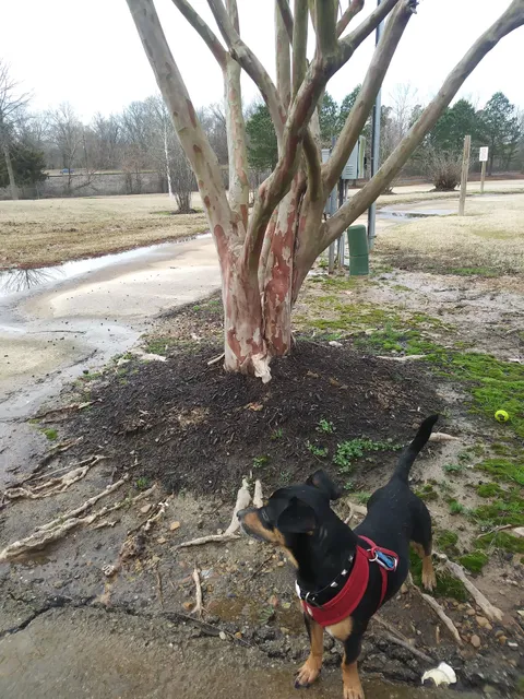 Magnolia Community Park