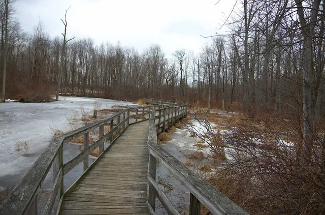 Rice Creek Field Station