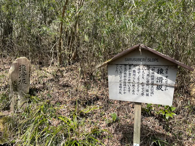 Old Tokaido Sarusuberi Slope