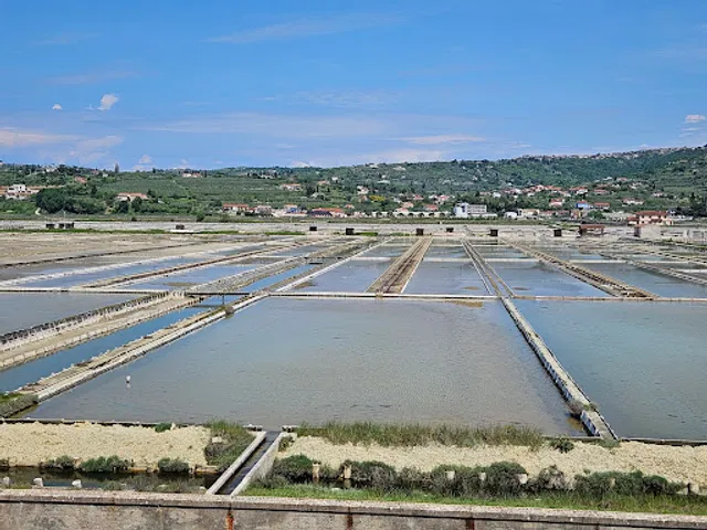 Sečovlje/Sicciole Saltpans Nature Park