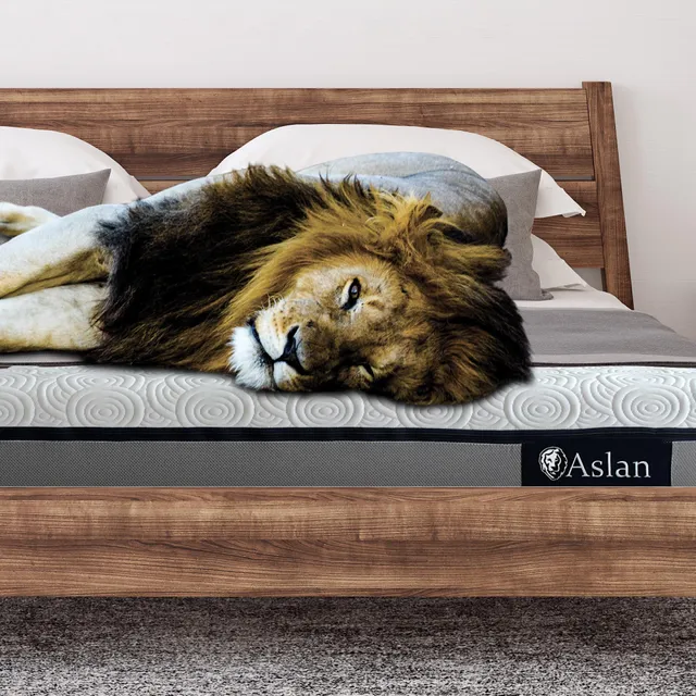 Aslan Mattress
