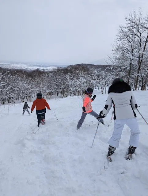 Niseko Academy