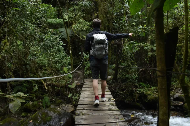 Experiencia Cafetera