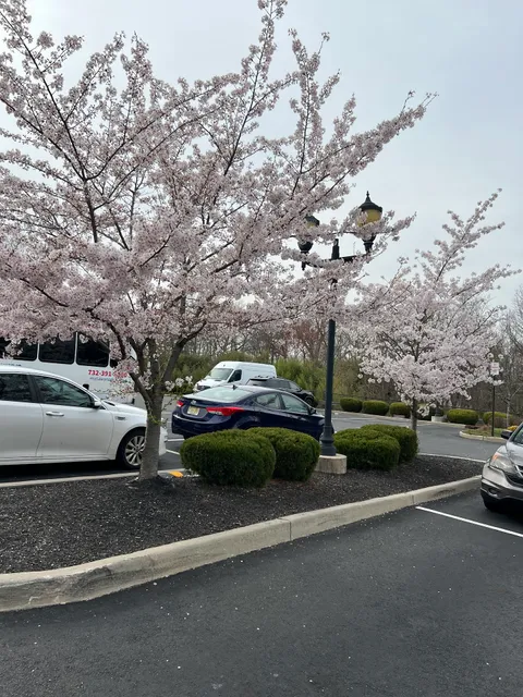 Vision Old Bridge Town Center