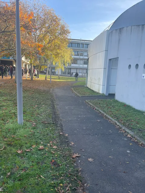 University De Tours - Faculty Science And Technology