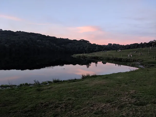 Caxias do Sul's Botanical Garden