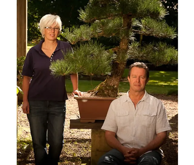 Sakura Bonsai Gallery - Dorrigo