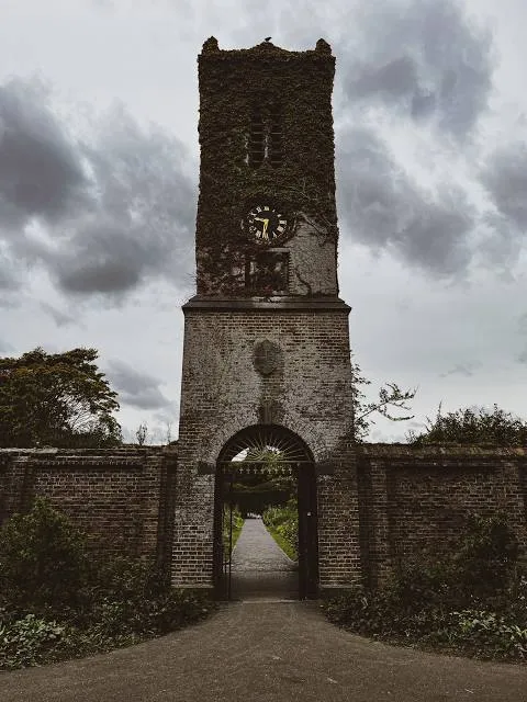 photo-1