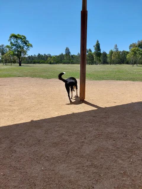 Warrigal Dog Run
