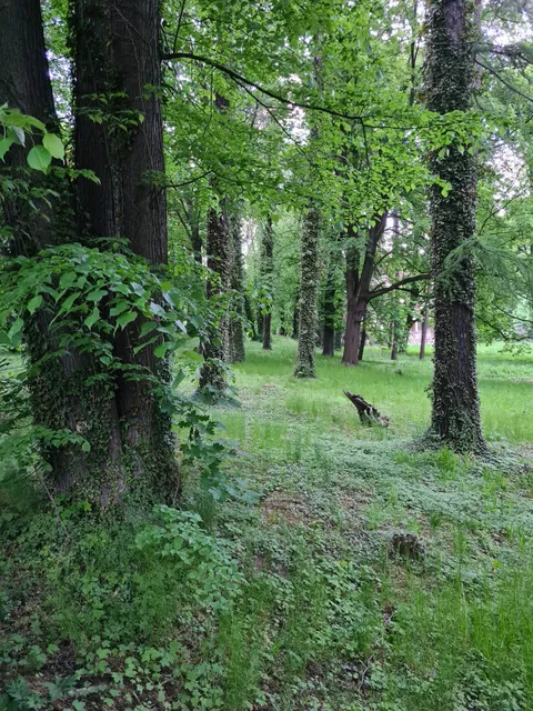 Willa Księżnej Daisy