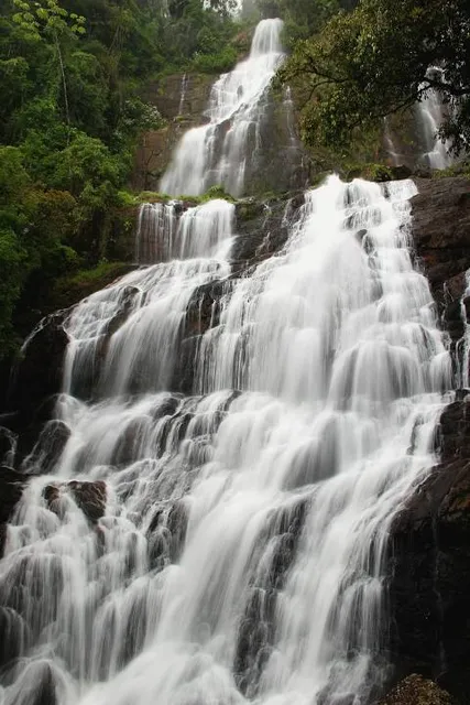 Cachoeira do Braço Esquerdo