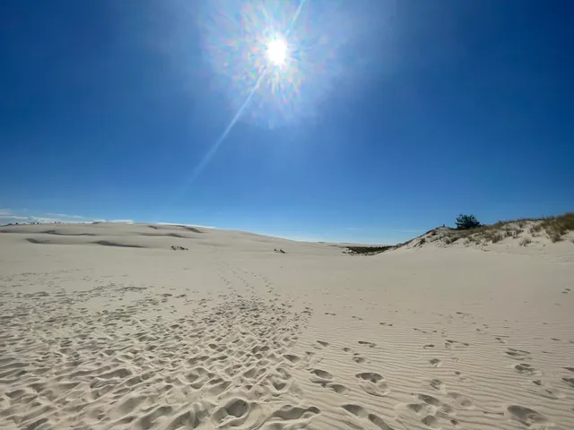 Wydmy przy plaży w Słowińskim Parku Narodowym