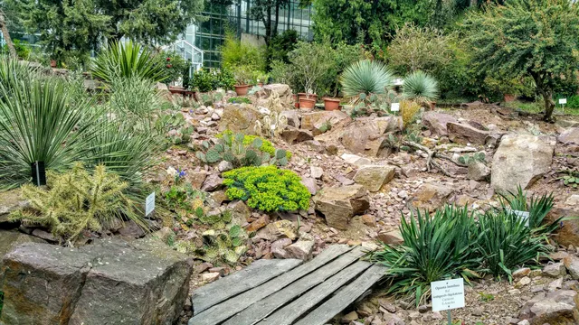 Pécsi Tudományegyetem Botanikus Kert