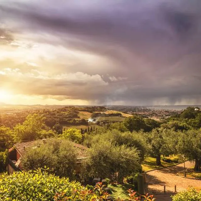 Pelham Lookout & Reserve