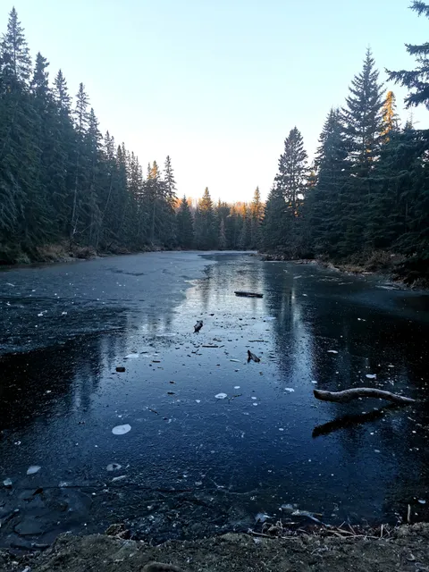 Mactaggart Sanctuary