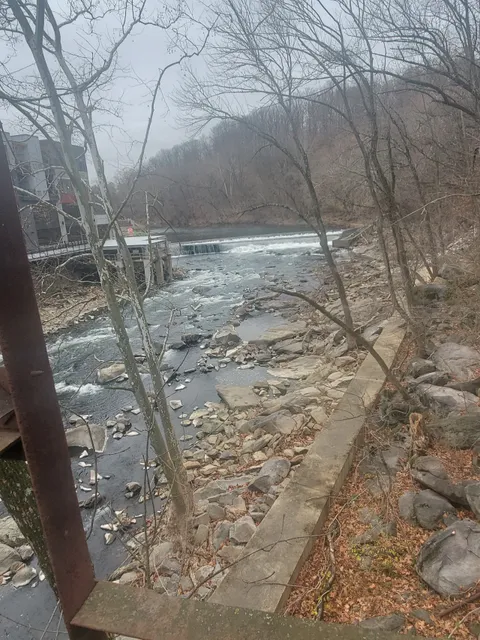 Friends of Wilmington Parks