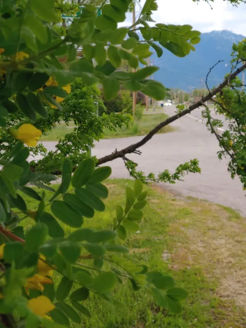Garden of the Rockies Museum