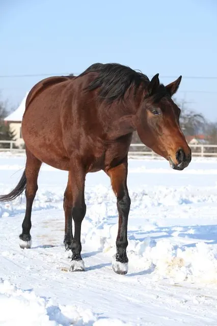 Hank Gonzalez Bicentennial Park