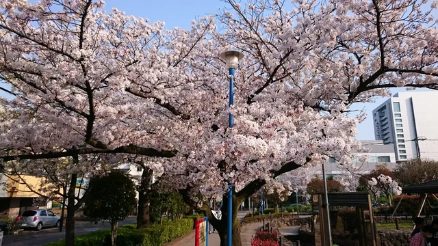 Shimomaruko Park