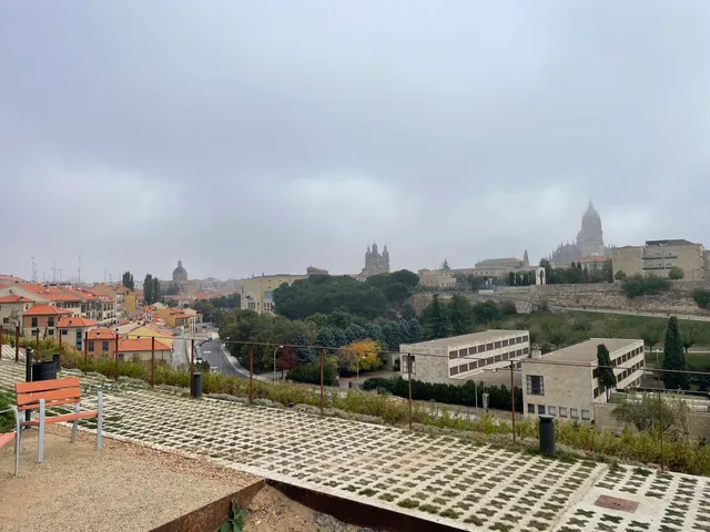 Botánico de la Ladera del Cerro de San Vicente Park