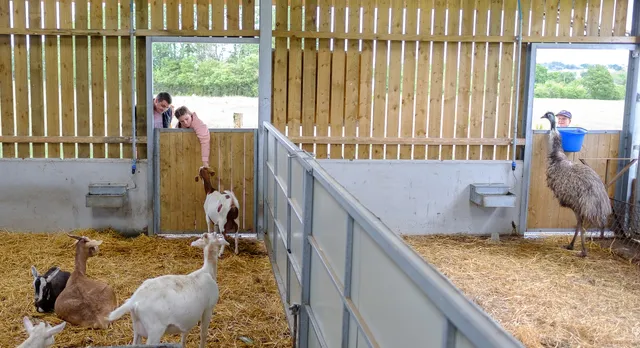 Mrs Dowsons Farm Park