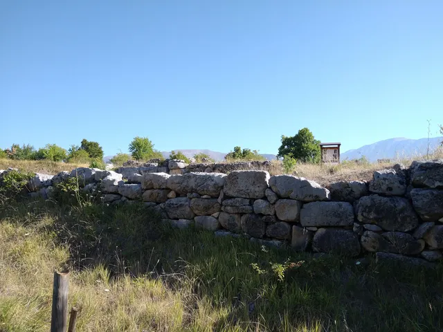 photo-3