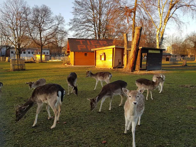 Quadrath-Ichendorf Zoo