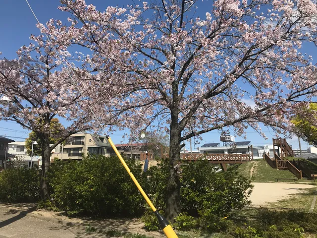 photo-1