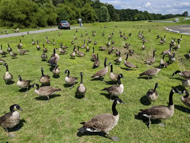 Glasgow Regional Park