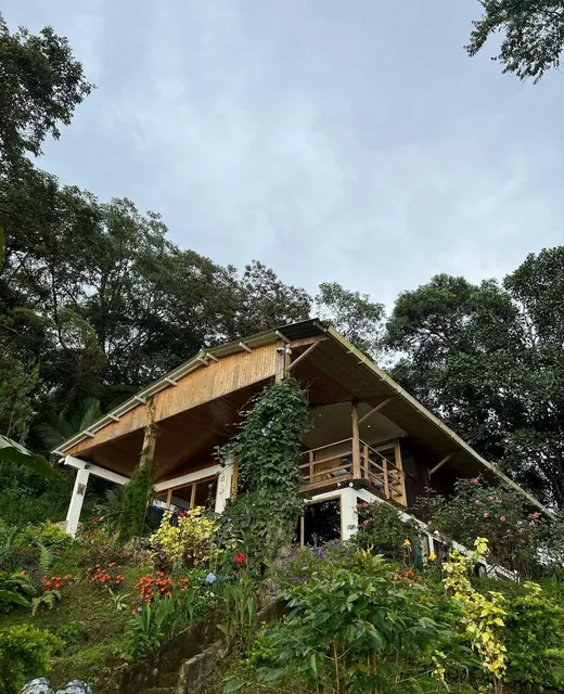 Cabaña Guarumo de la Sierra