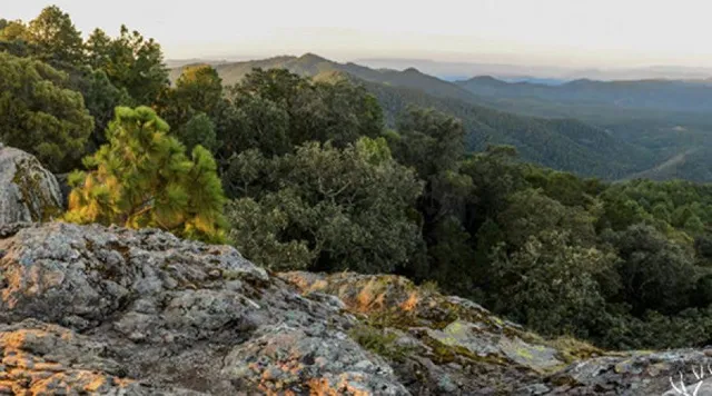 Sierra de Tapalpa