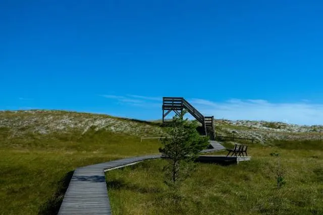Hohe Düne - Pramort (Zingst)