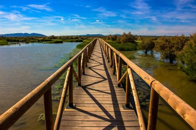 Kordon Guzeripl' Kavkazskogo Zapovednika