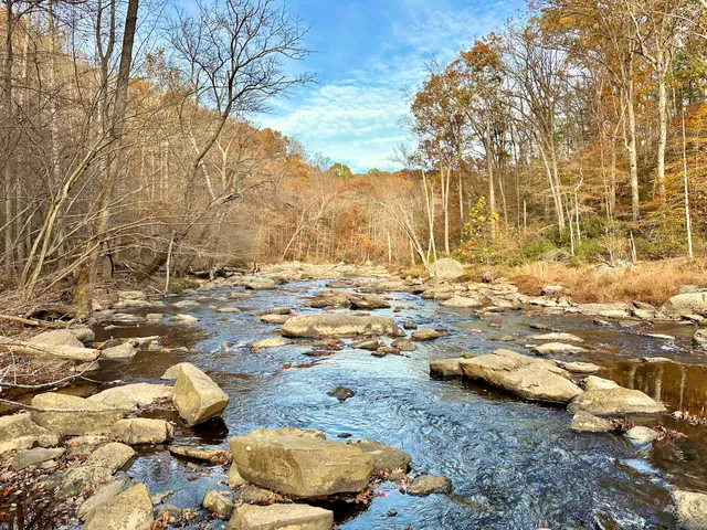 Difficult Run Stream Valley Trail, Georgetown Pike