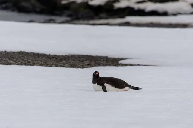 Emerald Isle Woods Park