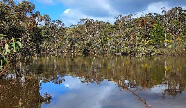 Para Wirra Conservation Park