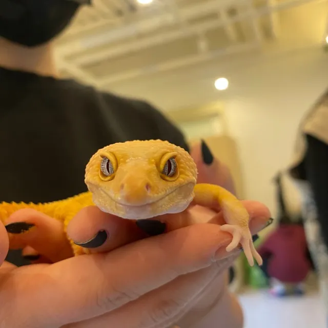 마리앤쥬 대전둔산점