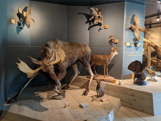 Sykkylven naturmuseum