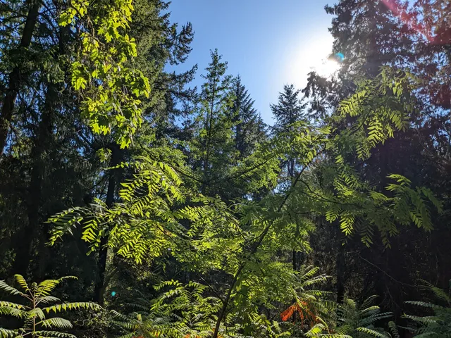 photo-1