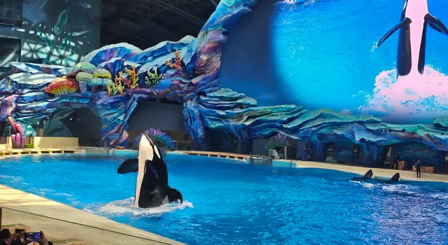 Changlong Ocean Science Museum