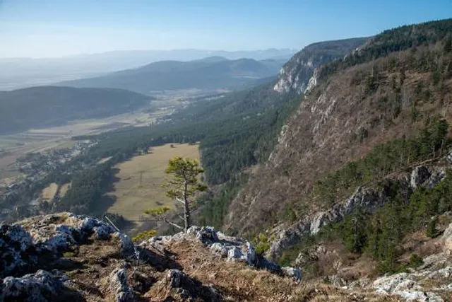 Gemeinde Waidmannsfeld