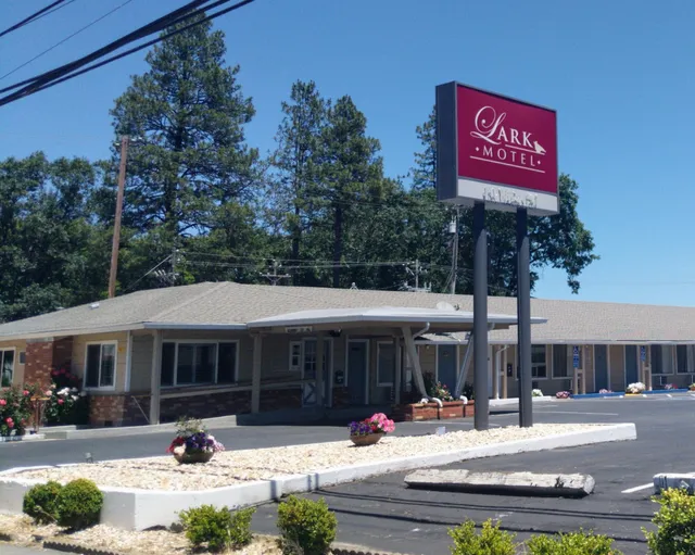 Lark Motel