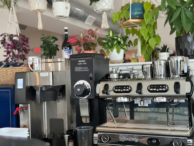 Bay Buzz Coffee & Snacks