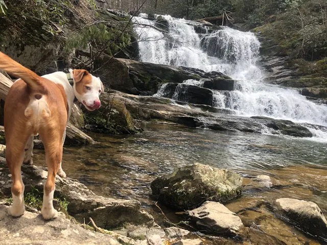 Conasauga Falls Trailhead Parking