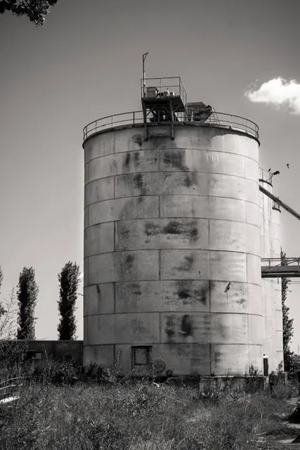 Patchewollock Silo Art