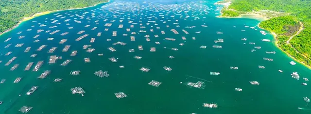 Lake Ouachita State Park Marina